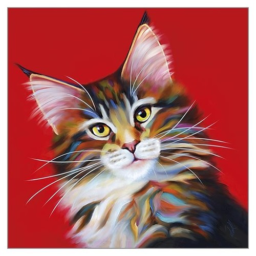 Cat greeting card fire - cat,
