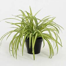 Blooming Artificial - 25cm Faux Spider Plant - Indoor Fake Green Houseplant
