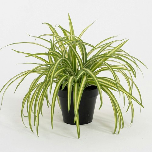 Blooming artificial 25cm - blooming,