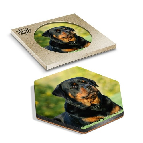 Hexagon coaster - 1, x