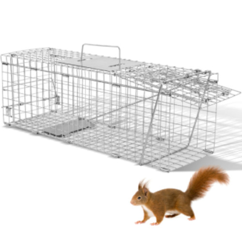 Live animal cage - animal,