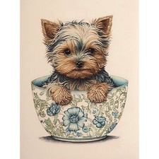 Cute Teacup Yorkshire Terrier