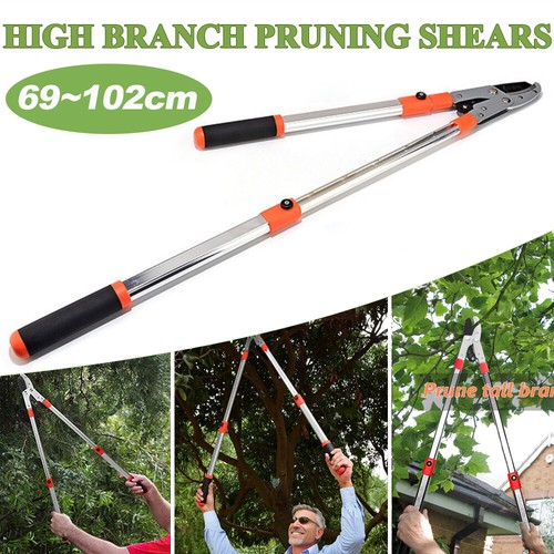 Pruning loppers garden shears - pruning,