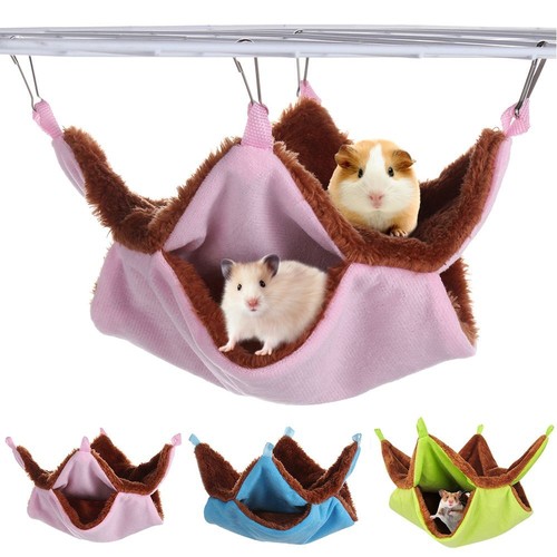Ferret rat squirrel pet - ferret,