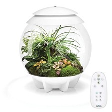 BiOrb Air 30 Terrarium - White