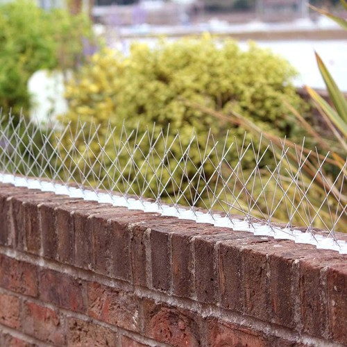 Bird spikes for - bird, pigeon