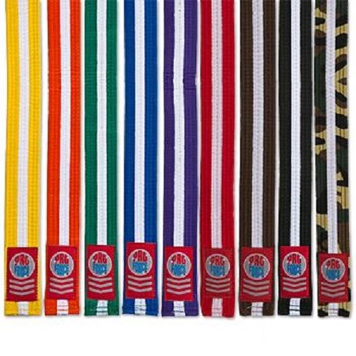 Martial arts rank - belts, karate