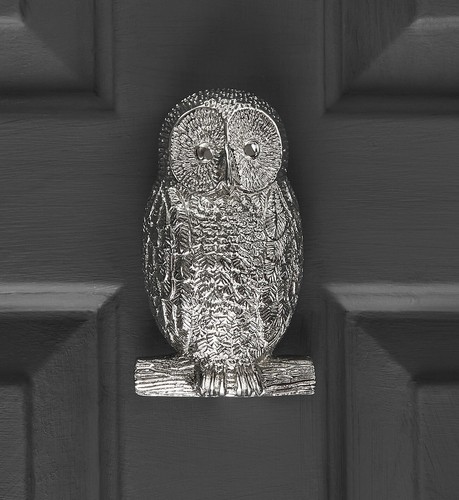 Owl door knocker nickel - -,