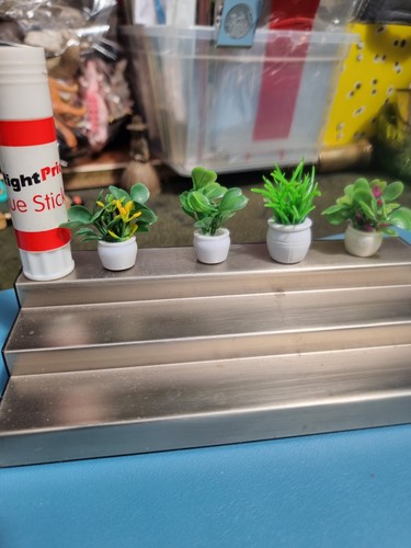 New miniature plants in - new, x