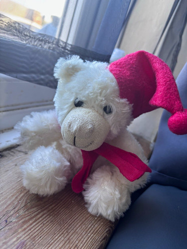 Miri moo plush teddy bear - teddy,