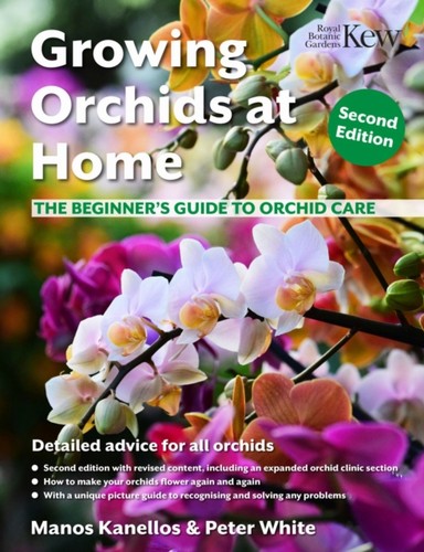 Growing orchids home - growing,