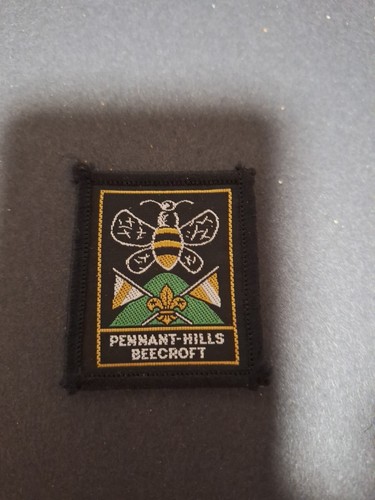 Scout badge australian nsw - scout,