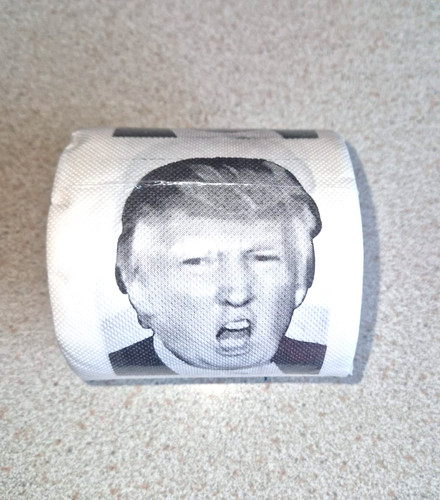 Donald trump novelty funny - donald,