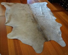 A Beautiful Charolais Cow Hide