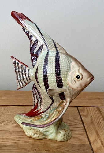 Lovely beswick angel fish - lovely,