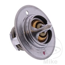 Thermostat 781.03.94 Fits