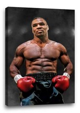 MIKE TYSON CANVAS Boxing Gym Gloves Photo Poster Pic Print "30x"20 CANVAS