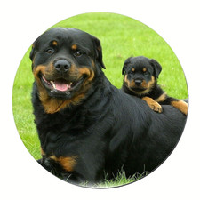 ROTTWEILER MOM BABY DOG PET