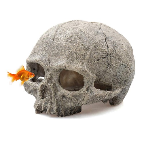 Aquarium skull decor - aquarium, decor,