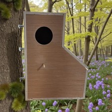 African Grey Parrot / Most