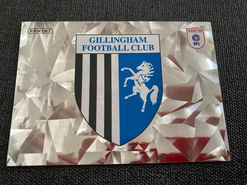 Panini efl 2025 - panini, sticker