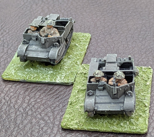 Painted 20mm world - 20mm,