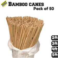 50 X Bamboo Heavy Duty Garden