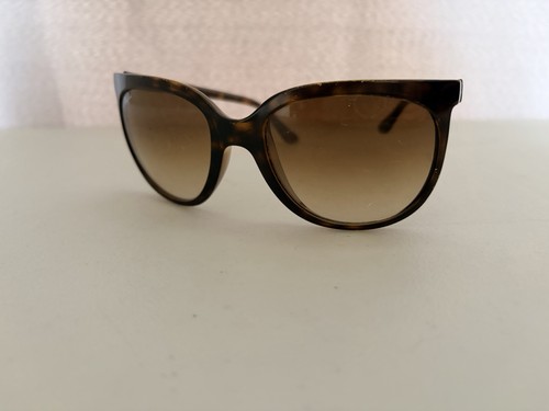 Ray ban cats - cats, sunglasses