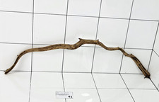 Natural Liana Wavy Kasela Vine