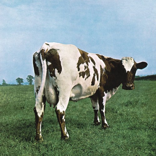 Pink floyd atom - pink,