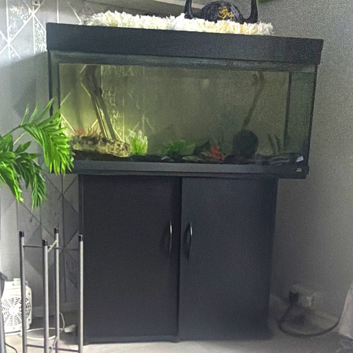 350l rectangular glass fish - rectangular,