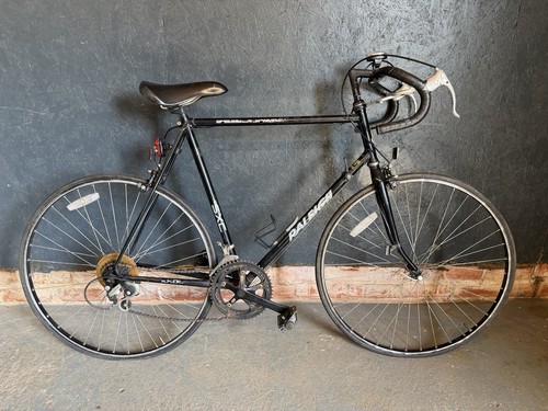 Raleigh bicycle sxc - raleigh, sakae