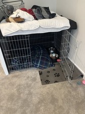 Pets at Home Double Folding Door Dog Crate Grey Large 42