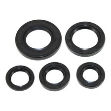 Shaft Seal Set for Morini AC