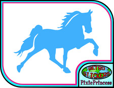 Horse Riding Equestrian Horses