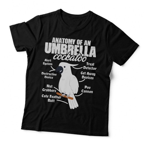 Anatomy umbrella - anatomy, of