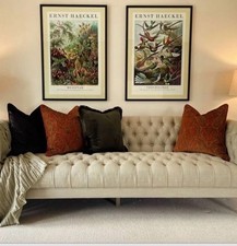 Andrew Martin  Two C/covers  Orginal Velvet Bonfire New