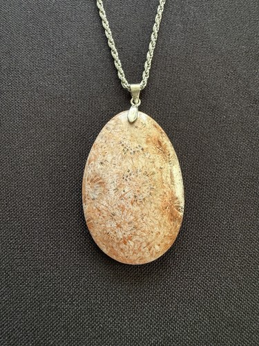 Carved fossil coral starburst - fossil,