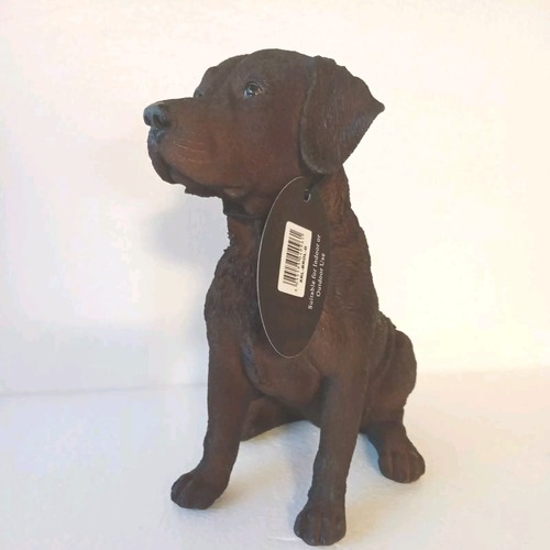 Vivid arts chocolate - chocolate, labrador