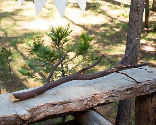 Manzanita wood branch - wood, for