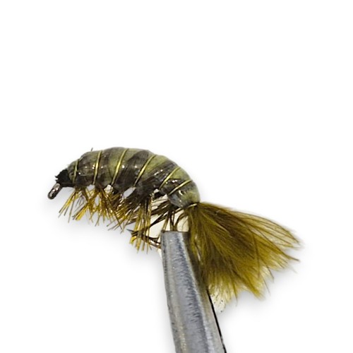 Czech nymph gammarus trout - czech,