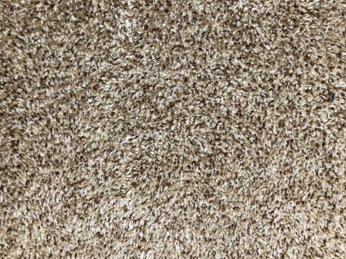 Turtle mat dirt trapper - -,