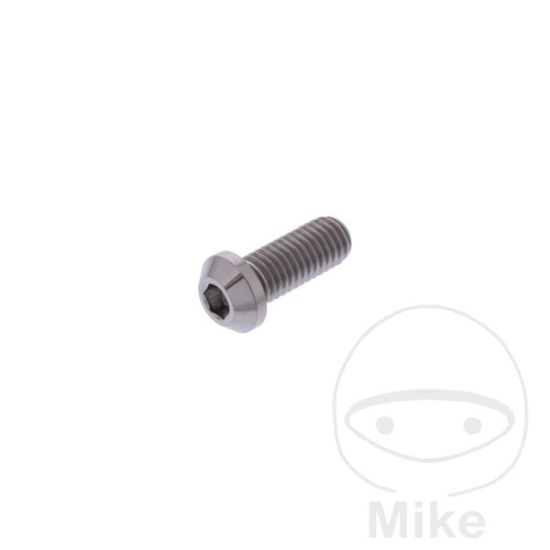 40979 brake disc screw m8x1 - 40979-brake,
