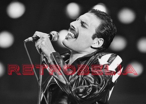 Freddie mercury 1984 tour 10 - freddie, tour"
