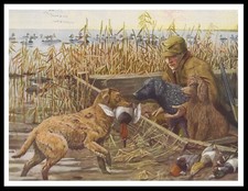 CHESAPEAKE BAY CURLY COATED