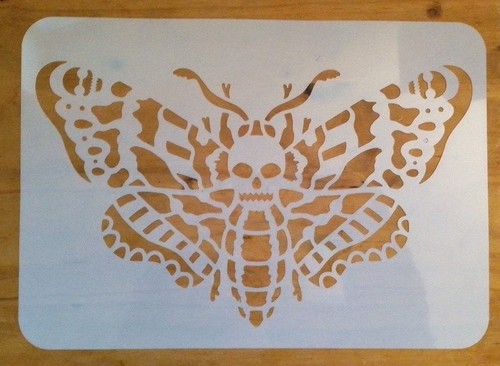 Death head skull moth - skull,
