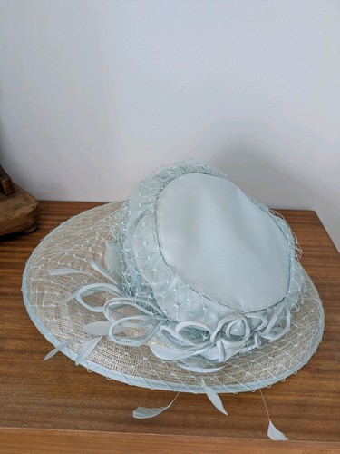 Beautiful duck egg blue - duck,