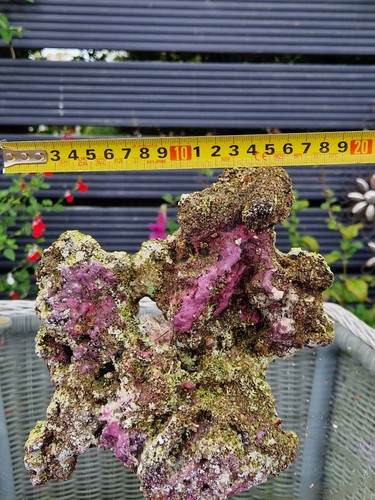 Tmc eco reef marine aquarium - reef,