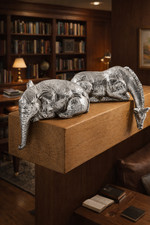 Silver Peering Over Shelf