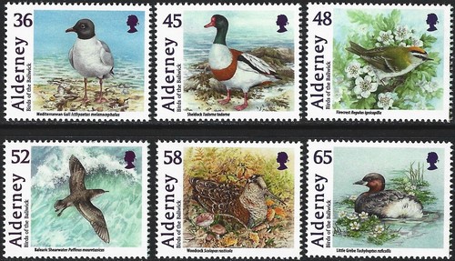 2011 alderney a422 birds - alderney,